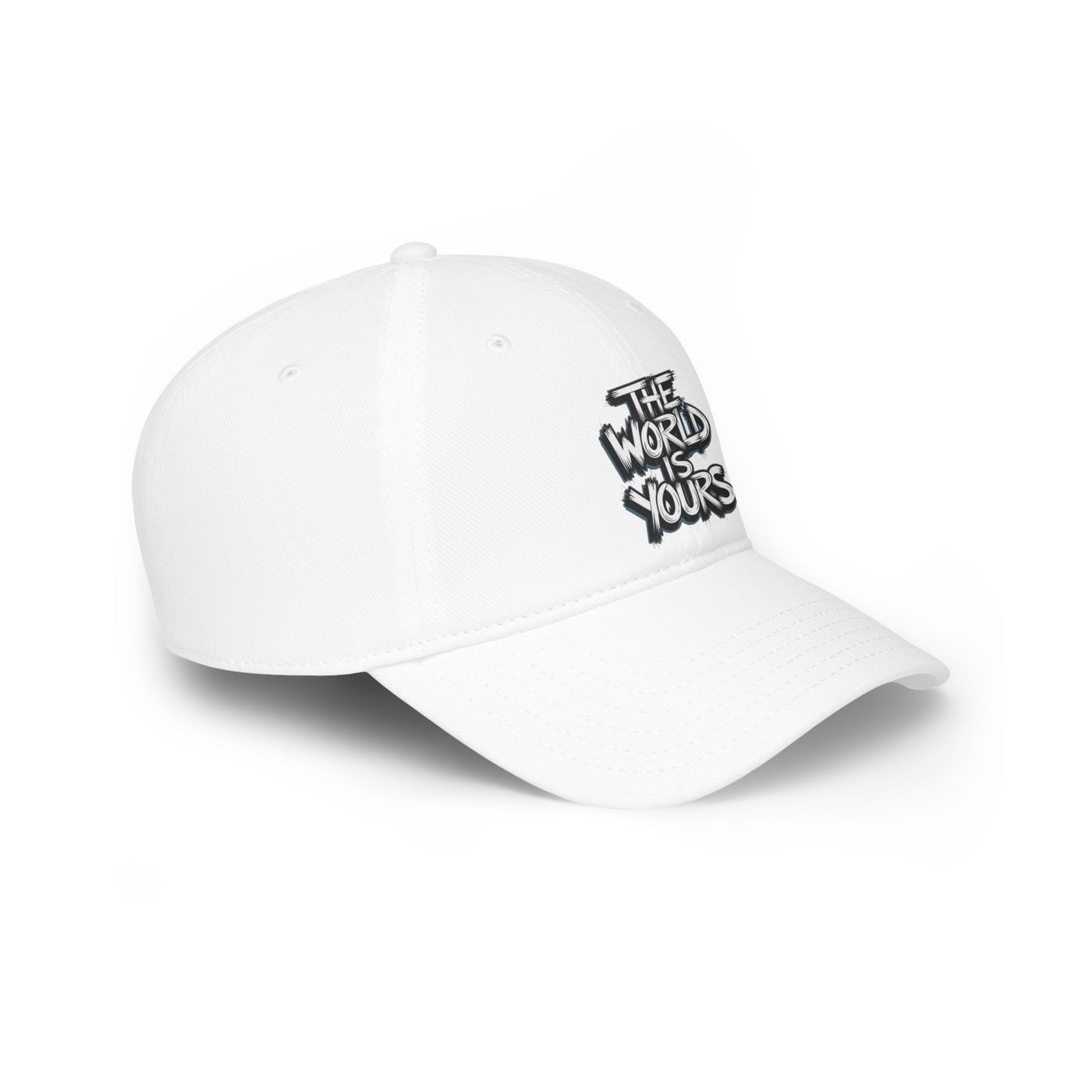 The World is Yours Hat
